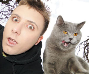 Sergio i jego koty