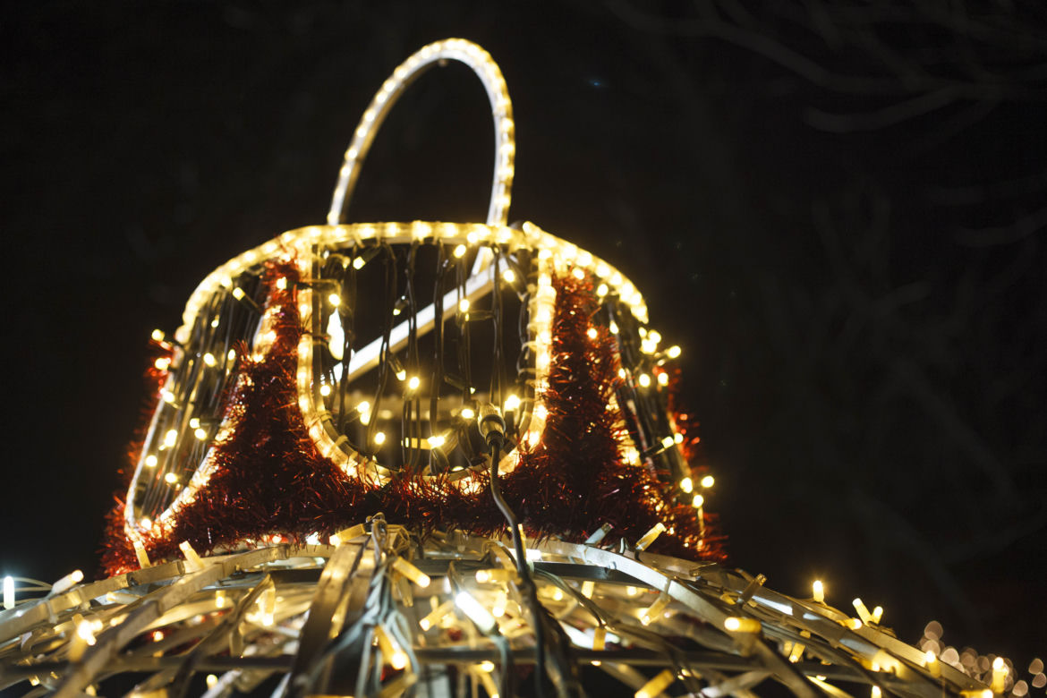 Lasery, muzyka i kolorowe iluminacje w Ogrodzie Botanicznym we Wrocławiu