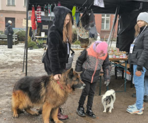 Spacer z pieskami w Lesznie