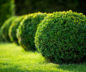 fot3_ThinkstockPhotos.jpg
