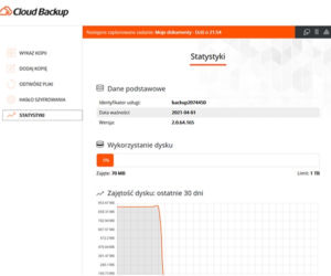 Bezpieczne przechowywanie plików w chmurze. Cloud Backup pomoże zabezpieczyć dane Twojej firmy