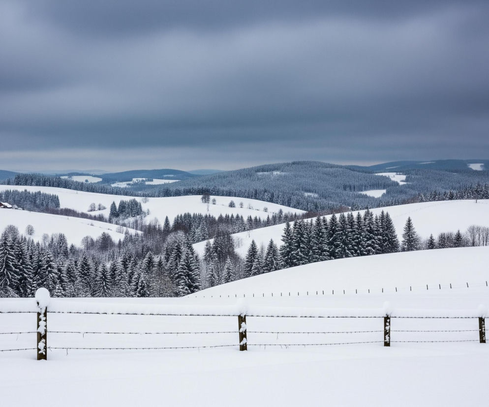Zasypany śniegiem płot z drutu kolczastego rozciąga się przez dolną część kadru, z drewnianymi słupkami pokrytymi białym puchem. Za płotem, szerokie połacie zaśnieżonych wzgórz i dolin rozciągają się w głąb, pokryte gęstymi lasami iglastymi o ciemnozielonych barwach, przeplatanymi polanami bieli. Niebo jest pochmurne, w odcieniach szarości i błękitu, z widocznym na horyzoncie horyzontem lekko zamglonym. W oddali, po lewej stronie, widać niewielką grupę budynków z czerwonymi dachami, częściowo zasłoniętych drzewami.