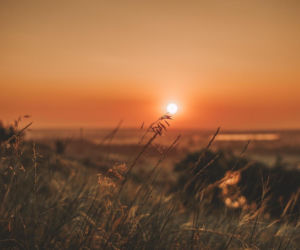 Tęsknicie za słońcem? W Lublinie poczujecie lato