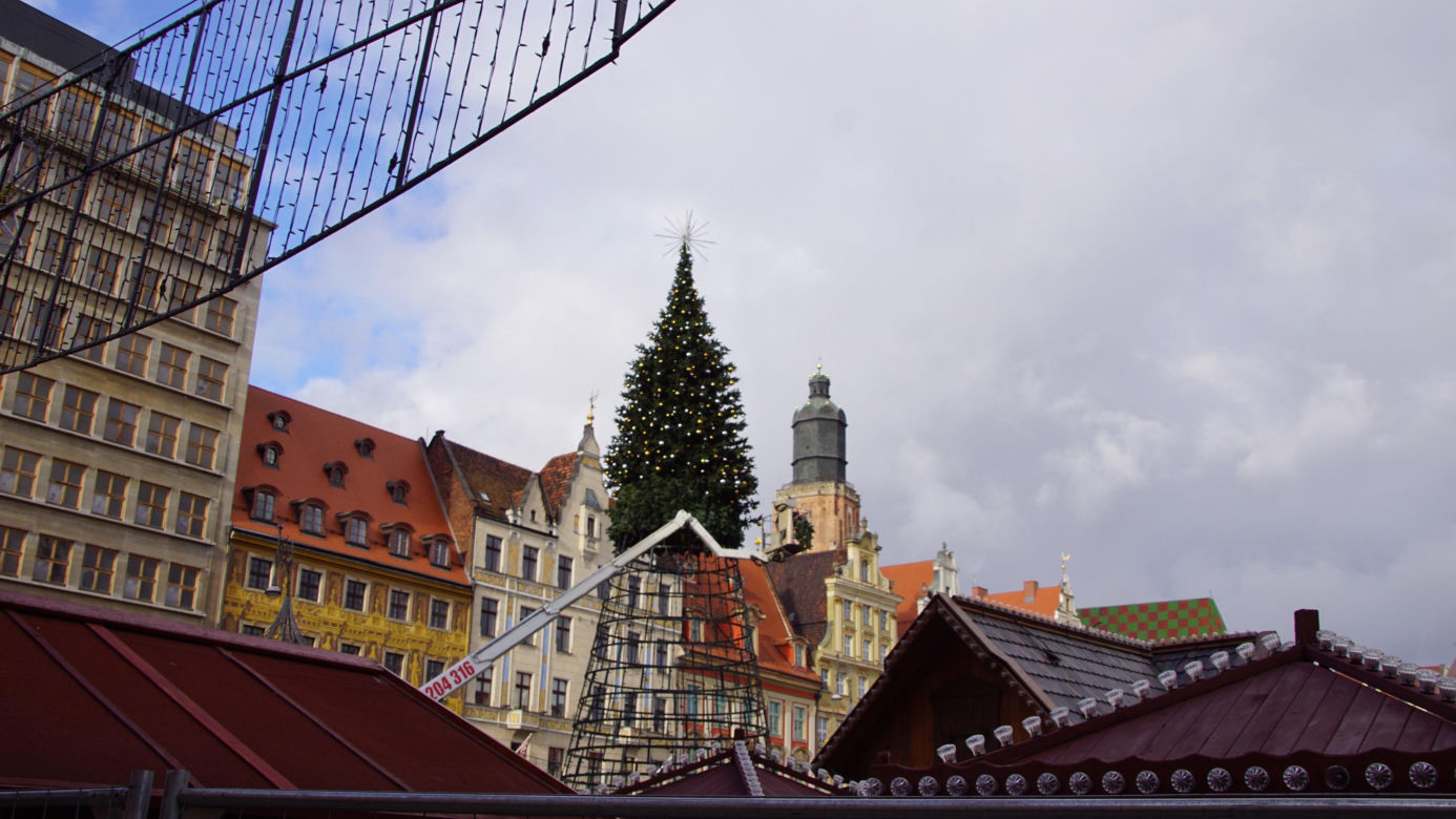 Na rynku we Wrocławiu stawiają 24-metrową choinkę. Będzie inna od poprzedniej 