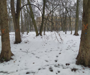 Gdzie mieścił się kiedyś letni teatr? Siedlecki park Aleksandria sto lat temu i w pierwszym tygodniu stycznia 2021: