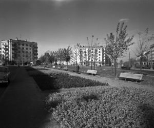 Tu pierwotnie miało biec metro! Zobacz, jakie stacje przewidywano w 1956 roku [GALERIA]