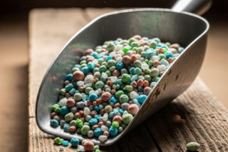 Znak CE na nawozie to nowa gwarancja jakości. Sprawdź, na co uważać przy zakupach.