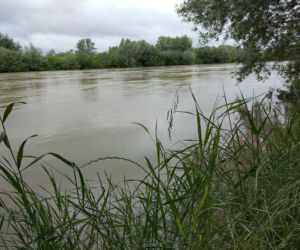 Wysoki Dunajec pod Tarnowem! Biała przy Azotach też przybiera