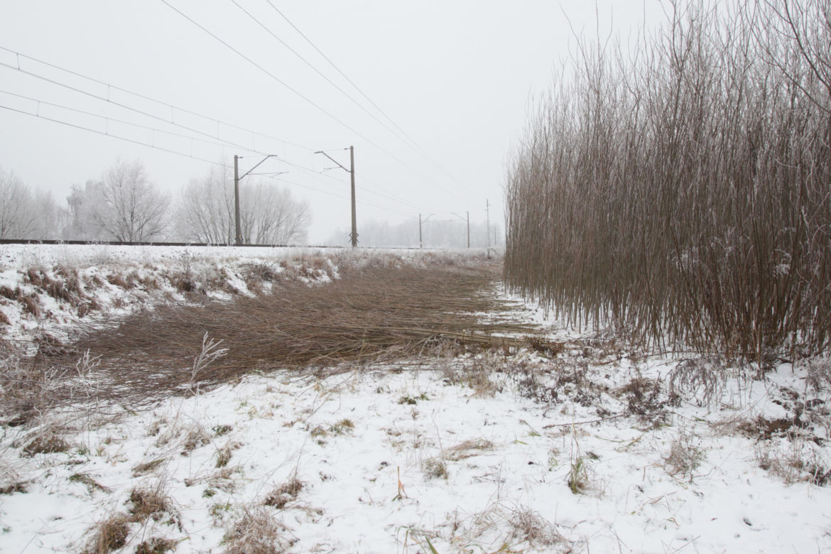 Pociąg zmiażdżył ciężarną Angelikę i małą Amelkę. Dopiero po tragedii wycięli chaszcze przy torach
