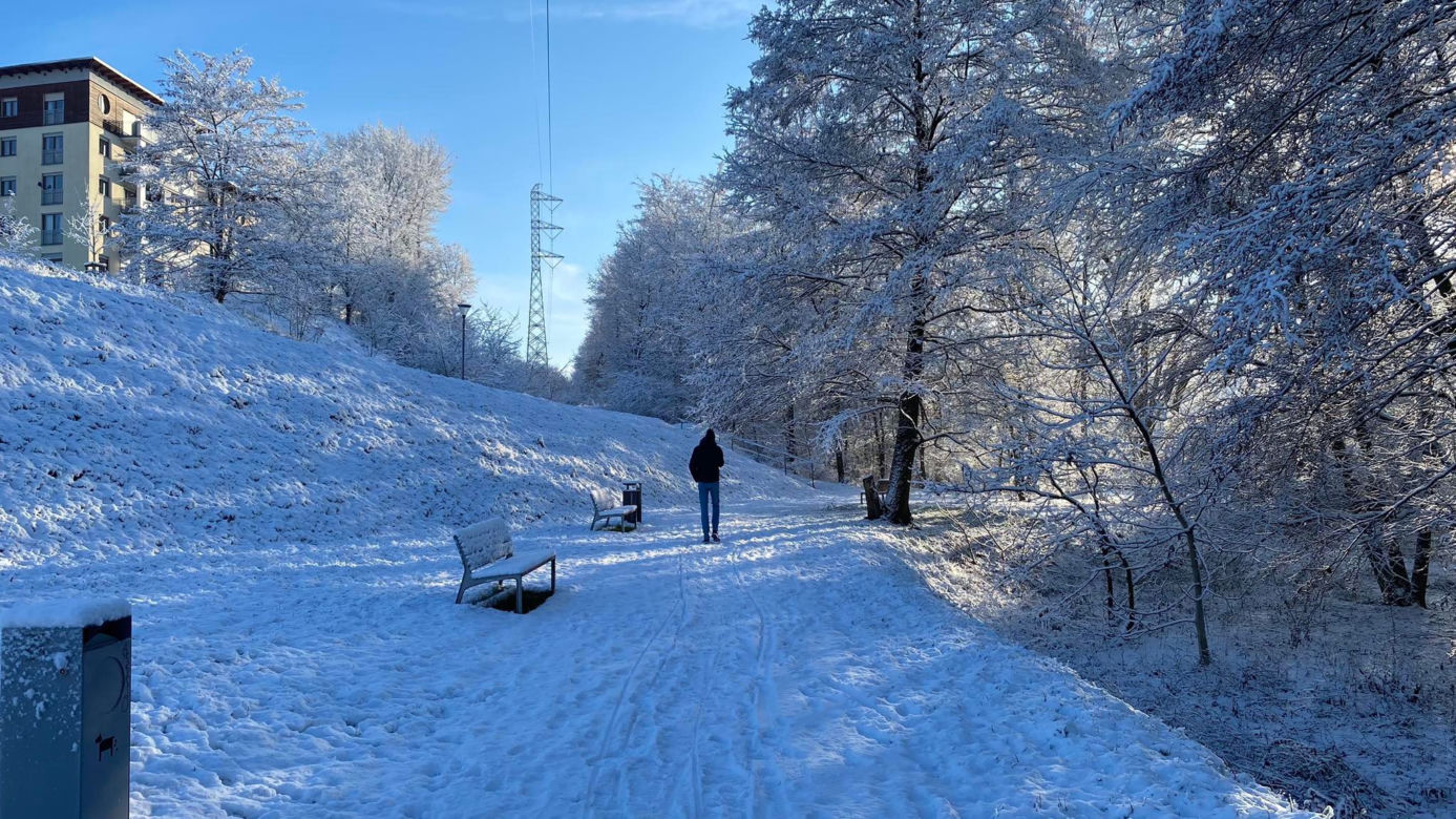 Dolina Gęśnika w Zielonej Górze w styczniu 2023 r.
