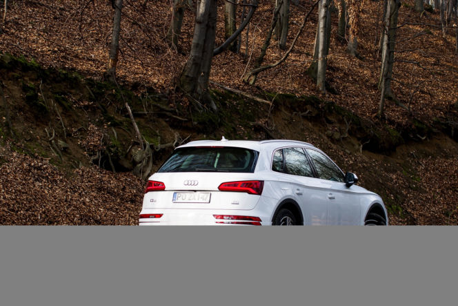 Audi Q5 2.0 TDI 190 KM S tronic quattro
