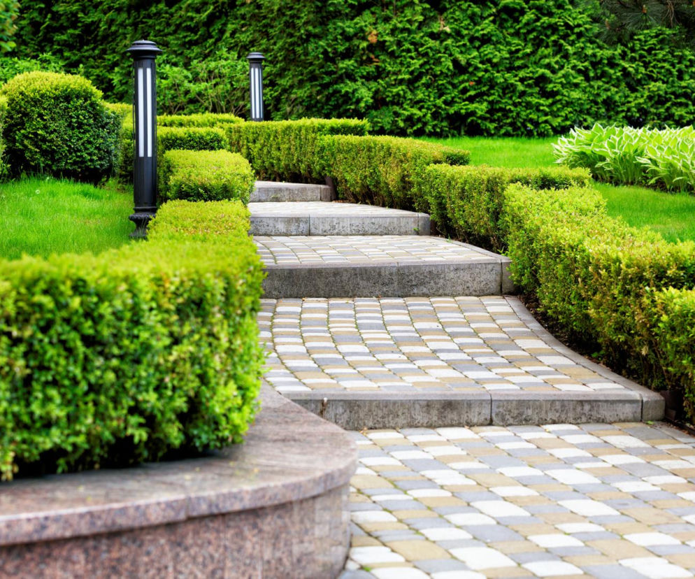 jak wybrać ścieżkę