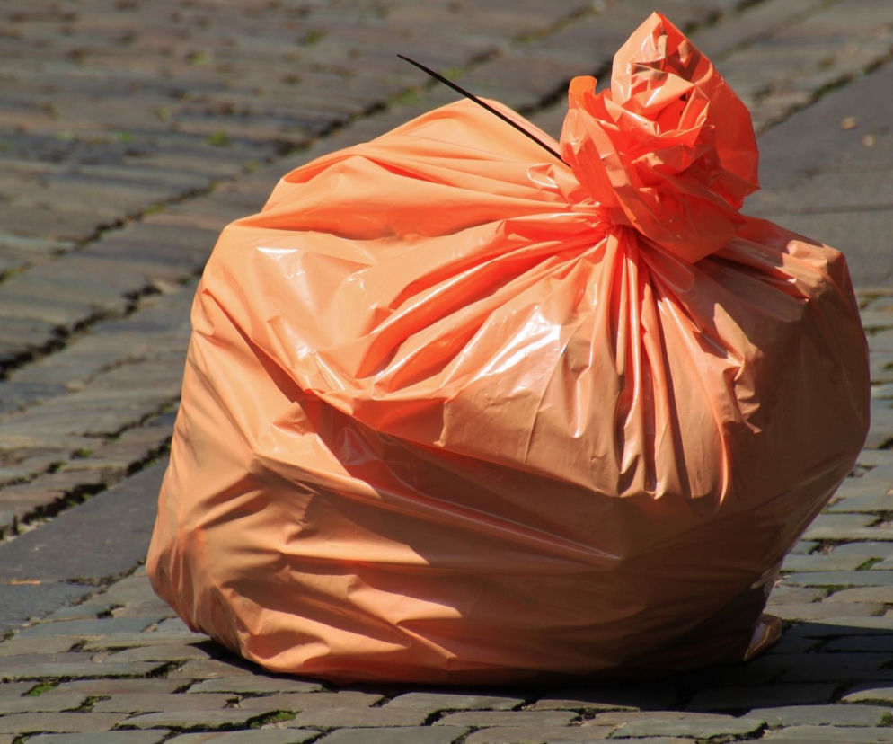 Segregacja śmieci w Lublinie. Ceny za wywóz odpadów, zasady segregacji, elektrośmieci