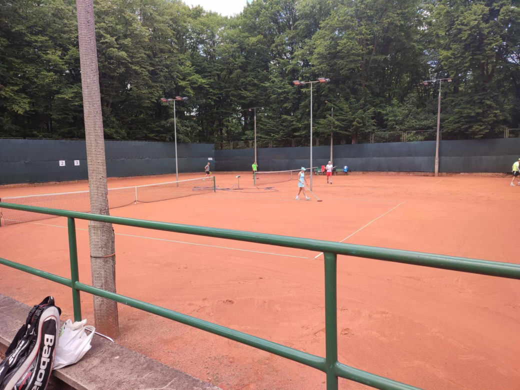 Tenis ziemny