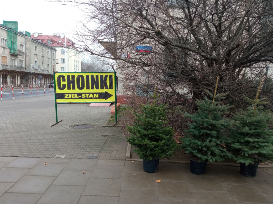 Konkurencja zniszczyła nasze choinki