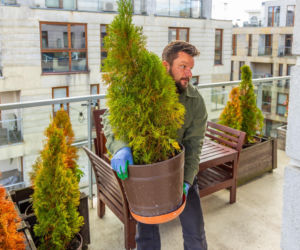 Murator Ogroduje, realizacje