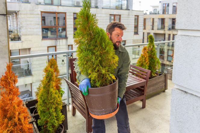 Murator Ogroduje, realizacje