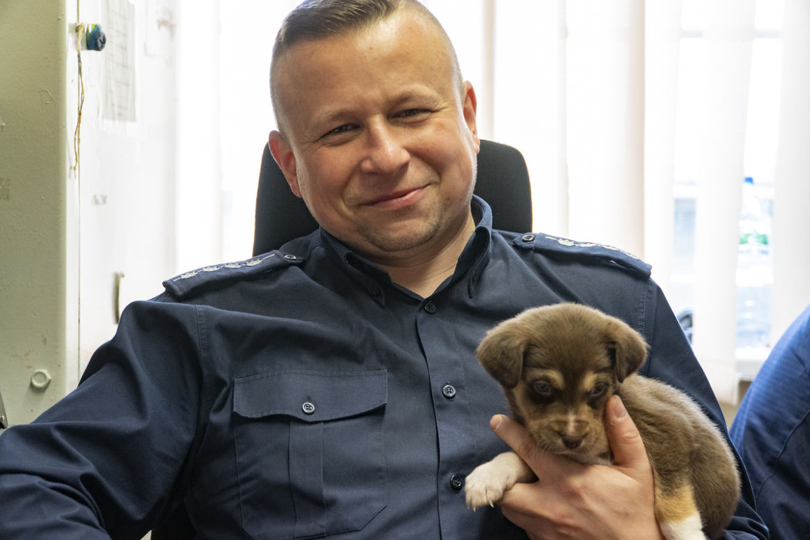 Maleńkie szczeniaczki były bliskie śmierci. Policjanci z Nowego Dworu Gdańskiego pokazali wielkie serca