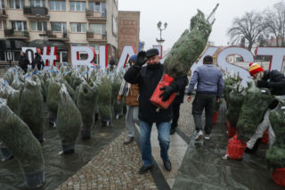 Białystok rozdaje choinki za elektrośmieci – mieszkańcy ustawili się w długiej kolejce