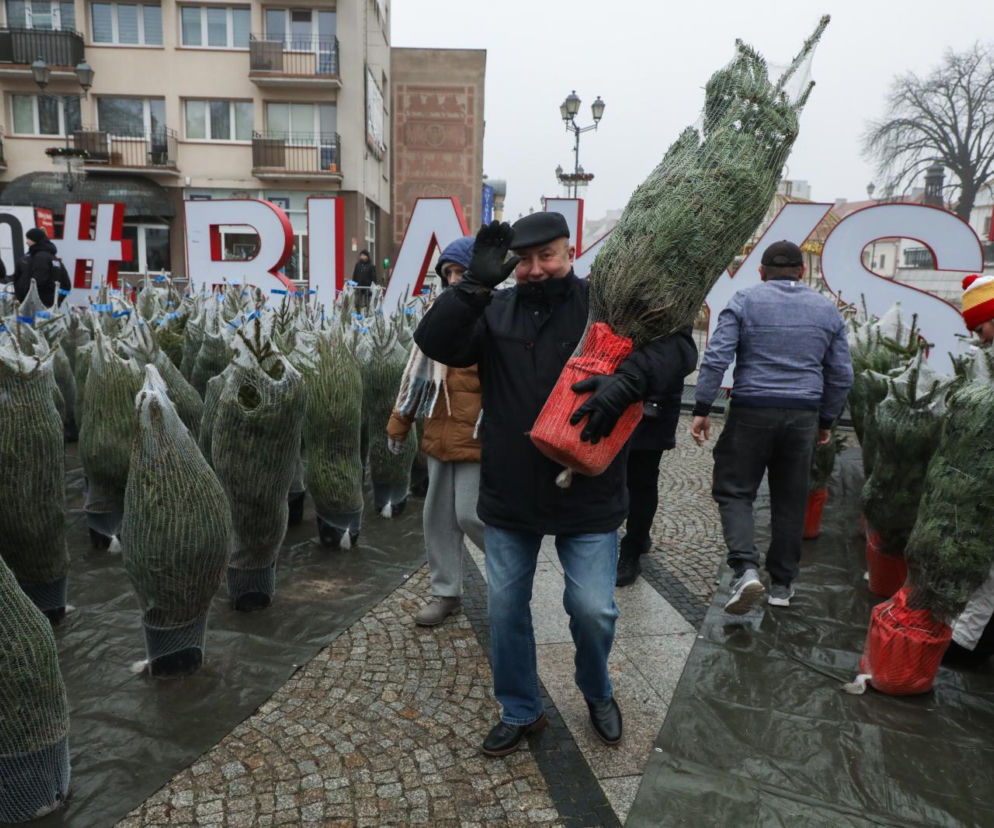 Białystok rozdaje choinki za elektrośmieci – mieszkańcy ustawili się w długiej kolejce