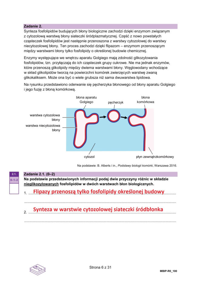 Matura próbna 2026 - biologia. Wszystkie odpowiedzi do arkusza CKE z biologii 14.01.2026