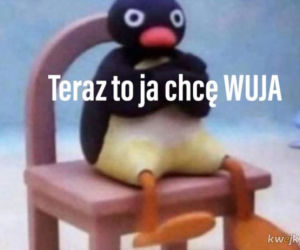 Paulo Sousa selekcjonerem - memy 