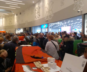 Gliwice: Przepiękne koty rasowe w Europie Centralnej. Zobaczcie [ZDJĘCIA]
