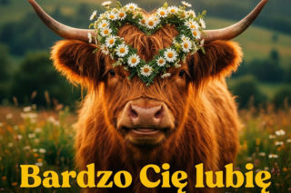 Darmowe kartki na Walentynki do ściągnięcia