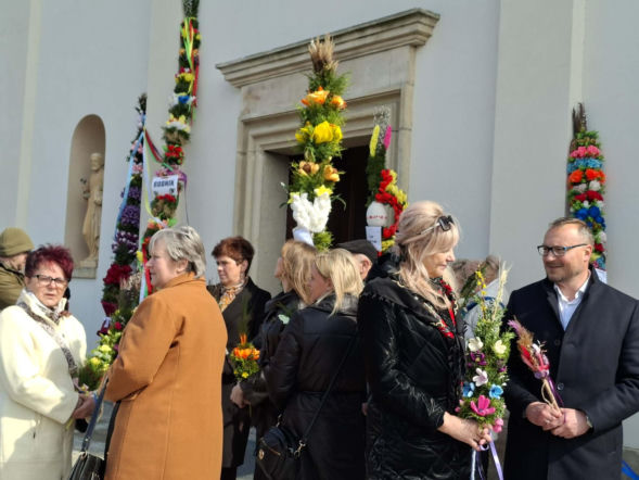 Mierzy ponad 5 metrów i zachwyca każdego. Tak wygląda palma z Krynek