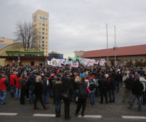 górnicy idą na wojnę z Kopacz