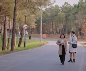 Miłość i nadzieja, odcinek 375. Cavidan, Bahar