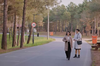 Miłość i nadzieja, odcinek 375. Cavidan, Bahar