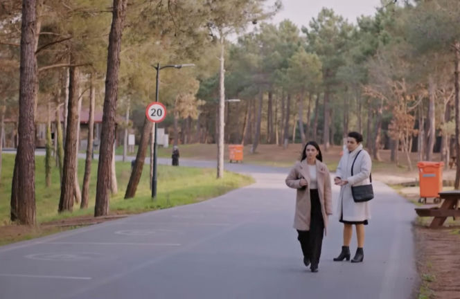 Miłość i nadzieja, odcinek 375. Cavidan, Bahar