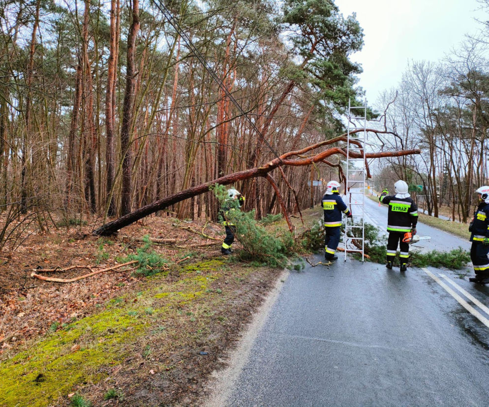 Potężna wichura przejdzie przez Bydgoszcz i region! IMGW wydaje najwyższy alert [18.02.2022]