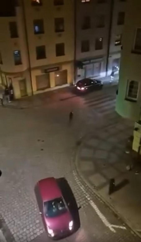 Głogów. Kierowca czarnego auta wjechał w tłum ludzi na chodniku. Policja zna właściciela samochodu [ZDJĘCIA].