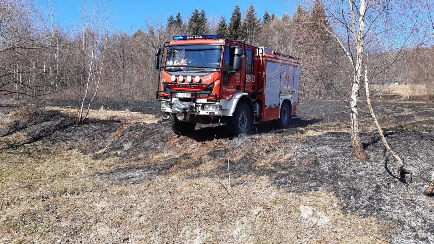 77-latka chciała uporządkować działkę, a zginęła w potwornych męczarniach. Tragedia pod Limanową