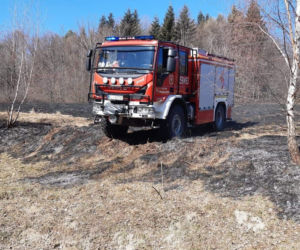 77-latka chciała uporządkować działkę, a zginęła w potwornych męczarniach. Tragedia pod Limanową