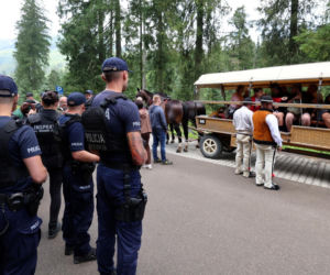 Protesty przeciwko konnemu transportowi nad Morskim Okiem