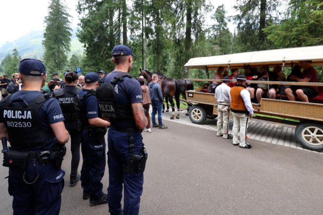 Protesty przeciwko konnemu transportowi nad Morskim Okiem