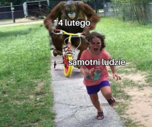 Walentynki memy