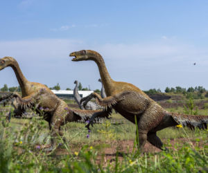 JuraPark Krasiejów