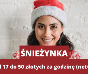 Świąteczne zawody 2021. Ile może zarobić Mikołaj, Śnieżynka i sprzedawca karpi? [STAWKI ZA GODZINĘ]