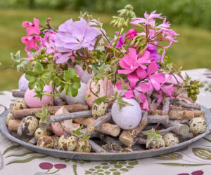 Pelargonie w wielkanocnych dekoracjach