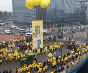 Wielkie protesty rolników w Europie! Zatrzymano Polaków