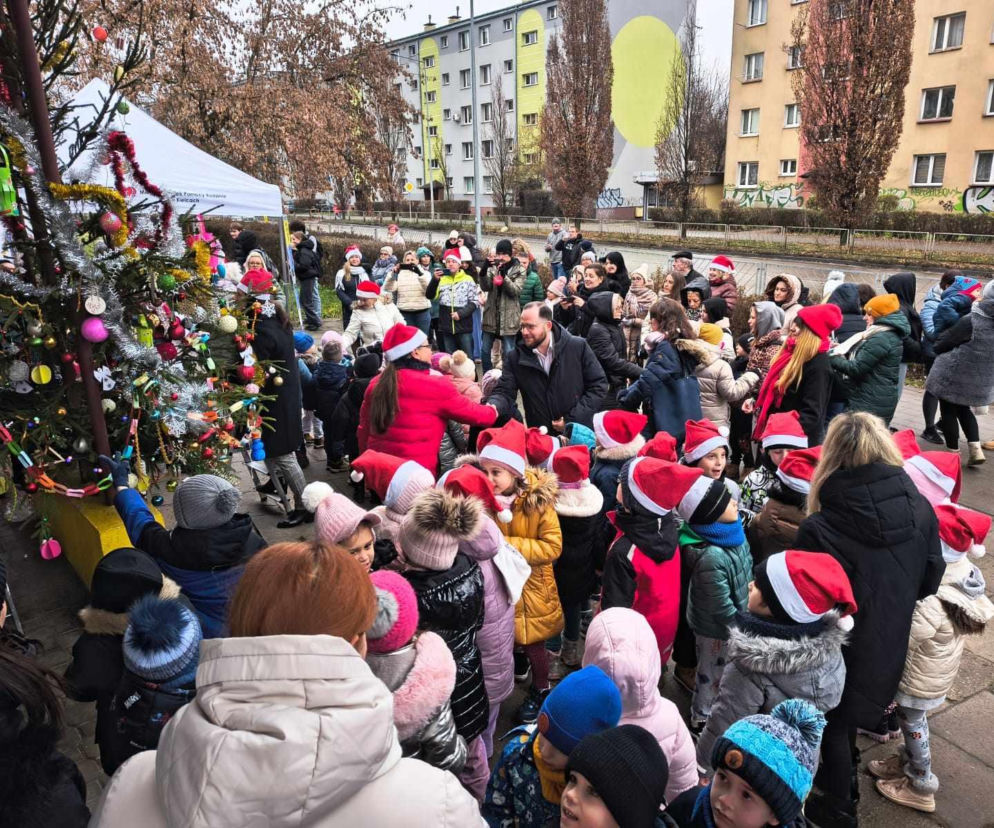 Akcja Choinka na Czarnowie