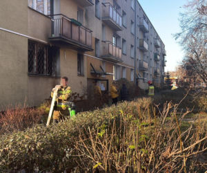 Pożar mieszkania na parterze. Strażacy z ognia wynieśli przerażonego kota