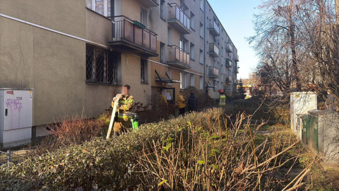 Pożar mieszkania na parterze. Strażacy z ognia wynieśli przerażonego kota