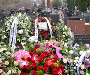 Zip Skład pożegnał Pono symbolami