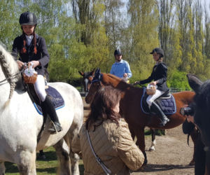 Święcenie pokarmów na koniach