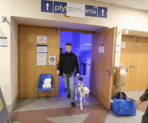 Tak wygląda pomoc Ukraińcom na Torwarze